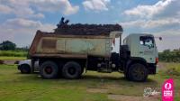 Maquinaria municipal realizó traslado de césped natural.
