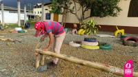 Adecuación de parques ecológicos en la comunidad de San Alfonso