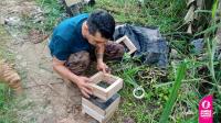 Seguimiento y asesoría técnica en el proceso de las colmenas de abejas