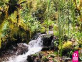 ‘La Ponce es turismo’